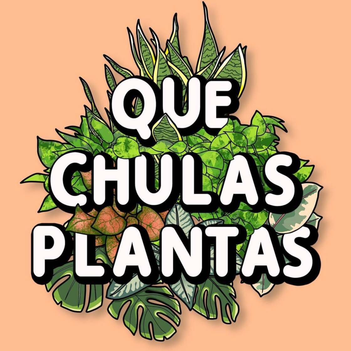 Home | Que Chulas Plantas